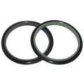 Aplicación en cilindros especiales Rod Seal